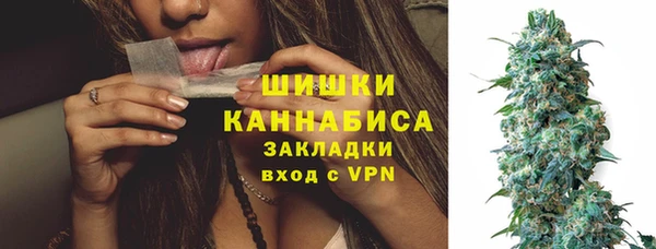 ГАЛЛЮЦИНОГЕННЫЕ ГРИБЫ Белоозёрский