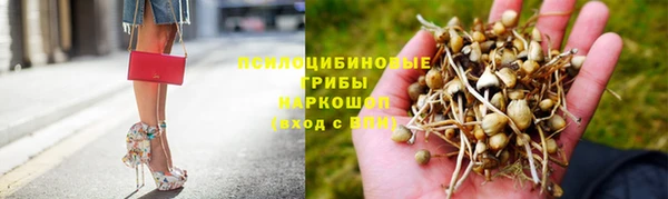 марки nbome Белокуриха