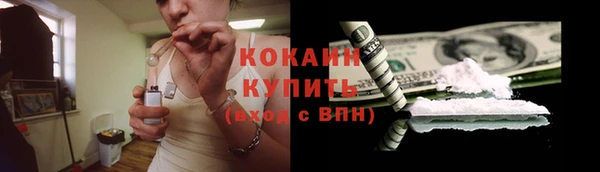 крисы Беломорск